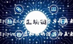 探索Epiphany虚拟币的潜力与未来发展探索Epiphany虚