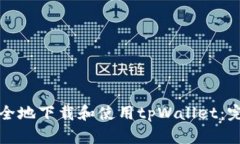 如何安全地下载和使用tpWallet：完全指南