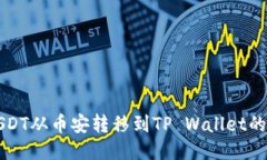 如何将USDT从币安转移到TP Wallet的详细指南