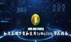 如何正确下载和使用tpWallet：详尽指南