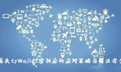 丢失tpWallet密钥后的应对策略与解决方案