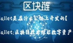 tpWallet是在什么公链上开发的？tpWallet：区块链技