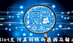 tpWallet支付未到账的原因及解决方案