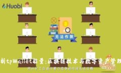深入解析tpWallet能量：区块链技术与数字资产管理