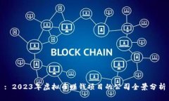 : 2023年虚拟币赚钱项目的公司全景分析