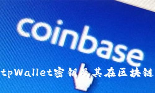 : 深入解析tpWallet密钥及其在区块链中的重要性