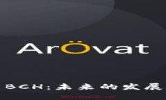 深度解析虚拟币BCH：未来的发展潜力与投资风险