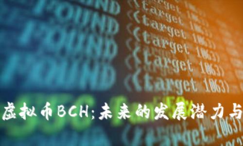 深度解析虚拟币BCH：未来的发展潜力与投资风险