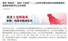 阿米巴虚拟币的崛起：背后的机制与前景分析