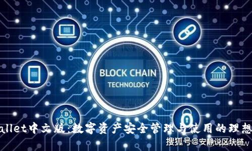 tpWallet中文版：数字资产安全管理与使用的理想选择