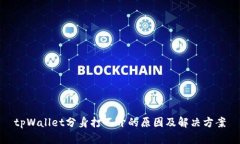 tpWallet分身打不开的原因及解决方案