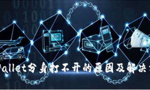 tpWallet分身打不开的原因及解决方案
