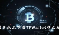 如何在苹果手机上下载TPWallet中文版：完整指南