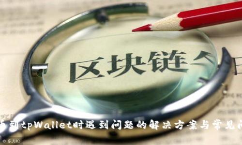 提币到tpWallet时遇到问题的解决方案与常见问题