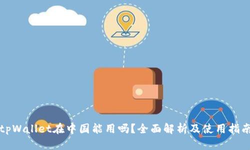 tpWallet在中国能用吗？全面解析及使用指南
