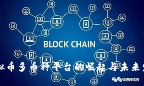 虚拟币多币种平台的崛起与未来发展