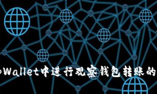 如何在tpWallet中进行观察钱包转账的详细指南