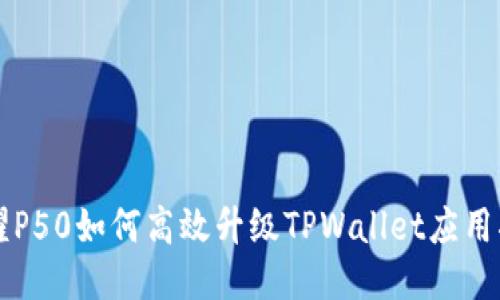 荣耀P50如何高效升级TPWallet应用指南